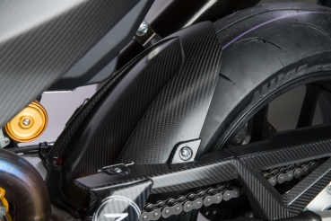 Carbon Kotflügel Hinten Aprilia RSV4 + Tuono V4 ab 2021